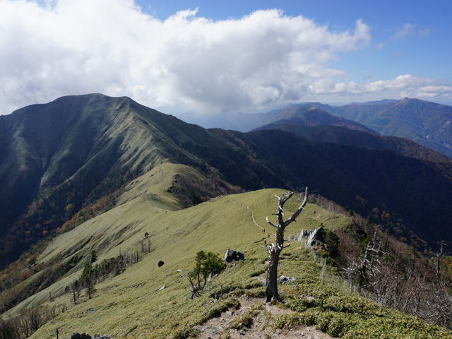 ���R����W���E�M���E��ՂށB_���Y��