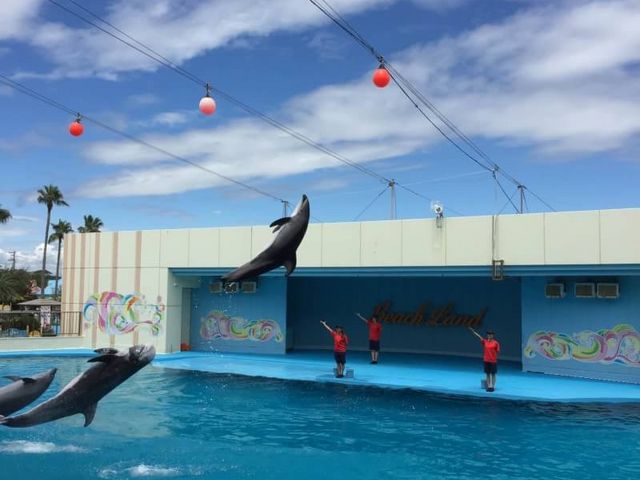 �C���J�V���[_��m���r�[�`�����h&��m���������ቤ��