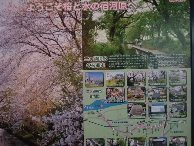 �h�͌���P�̂̍�_�h�͌���P�̂̍�