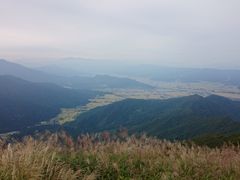 ꂨ񂳂̔CR[XL[ւ̓eʐ^4