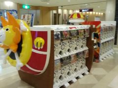 ���c���ۋ�`�̎ʐ^1