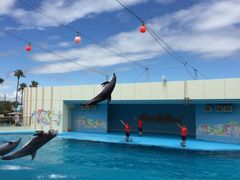 ҁ[̓mr[`h&mቤւ̓eʐ^1