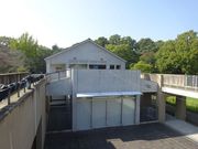 pon񂳂̔`jق̓eʐ^1