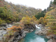 Gr̒ÐkJi쌧hj̓eʐ^2