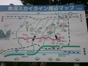 ꂨ񂳂̋XJCCW]̓eʐ^4