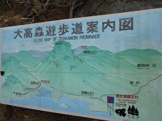 �卂�X�@�V�����̈ē��}_�卂�X�i���l�n��j