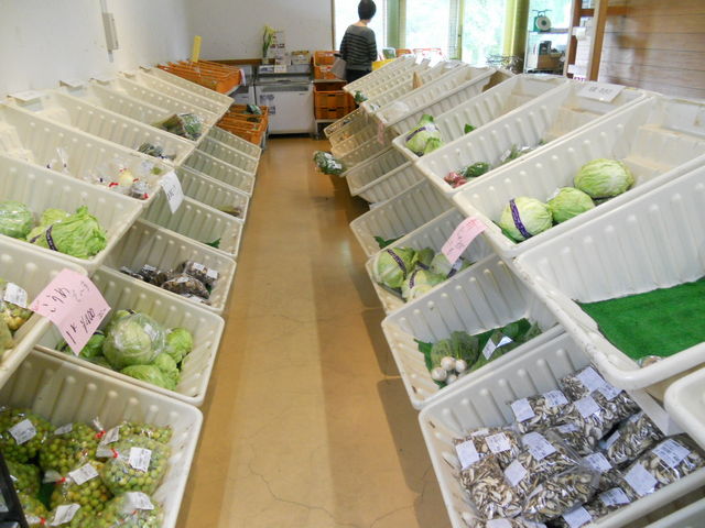 񂳂̉ԖʂЂΎcX̓eʐ^2