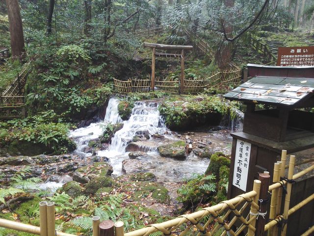 �Z���̑�_�Z���̑�