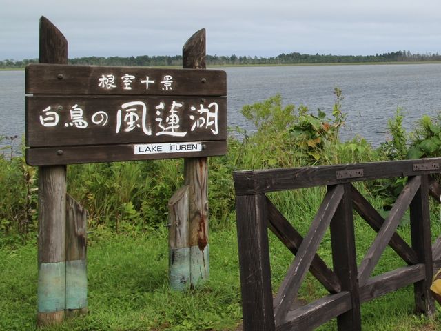 ���������A��_���̉w �X�����S�S�˂ނ�