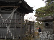 񂳂̗̔AmԂ̔葼̓eʐ^1