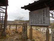 񂳂̗̔AmԂ̔葼̓eʐ^2