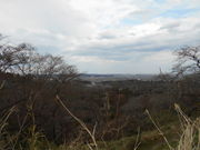 񂳂̌̐X̍EEE݂Ȃǂ̓eʐ^2