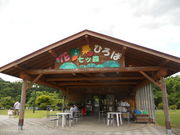 񂳂̉ԖʂЂΎcX̓eʐ^1