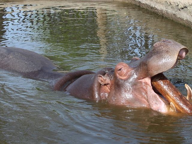 �J�o_���R������