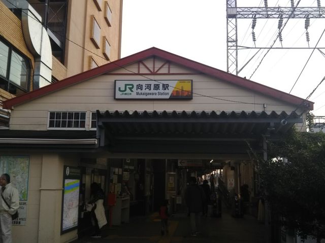 cJ擙X͂̏Zl̏ ͌X̓eʐ^1