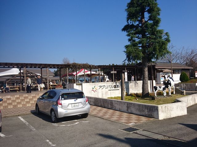 L̉w̕~nɂH__Xg@ւ̗