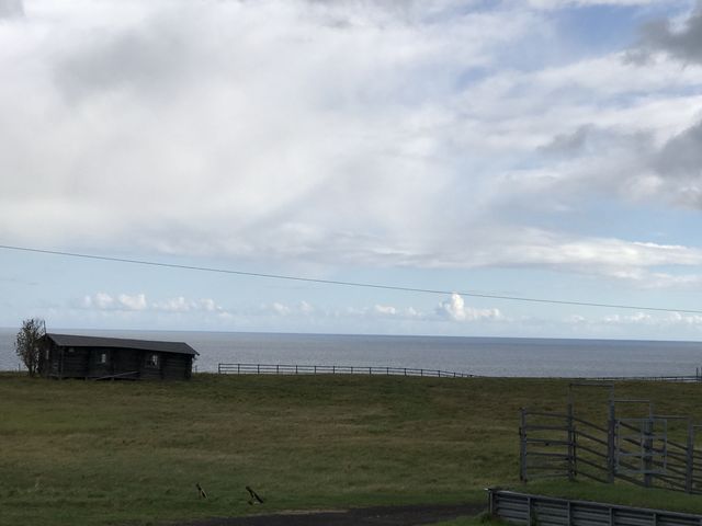 �w�\�斦�z�|�c���Ə�����_�\�斦�C��