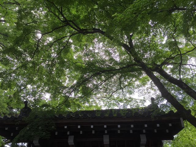 �V��_���{�_��