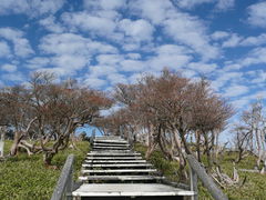 ��䃖���i���o���x�j�̎ʐ^2