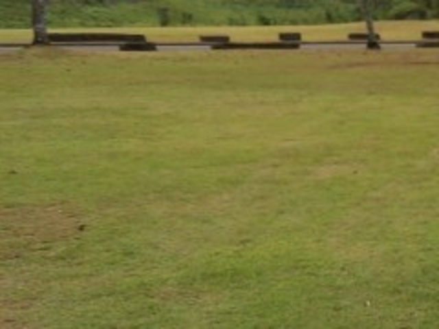 �l�g�N���t�g�p�[�N�Ζ�����L�����v��_�l�g�N���t�g�p�[�N�Ζ�����L�����v��