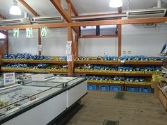 ܂܂̓̉w Vρ[ւ̓eʐ^1