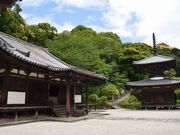 ����������񂳂�̒��ێ����󓃂̓��e�ʐ^3