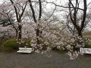 ܁`ځ`̋֋LOق̍EccW̓eʐ^2