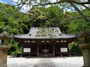 ����������񂳂�̒��ێ��{���̓��e�ʐ^2