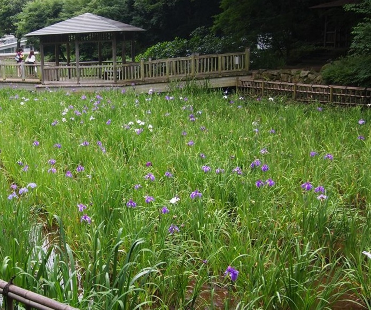 川崎市の動物園 植物園ランキングtop9 じゃらんnet