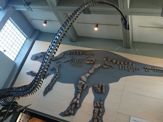 [񂳂̂ނ풬ʔق̓eʐ^1