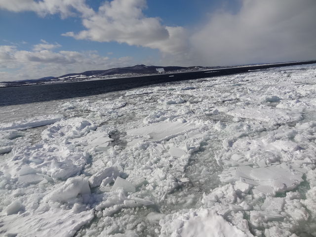 ���������X_���X�ӕX�D �K�����R���U