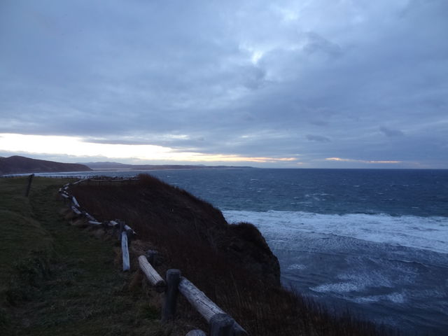 �i�F�P_�\�斦�C��