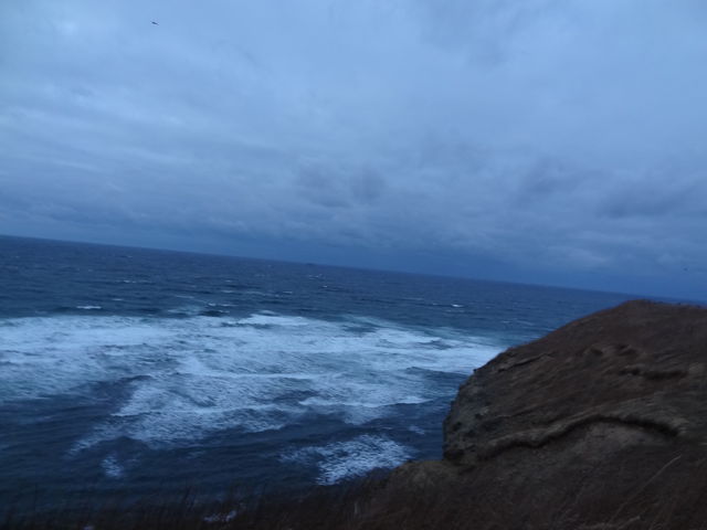 �i�F�Q_�\�斦�C��