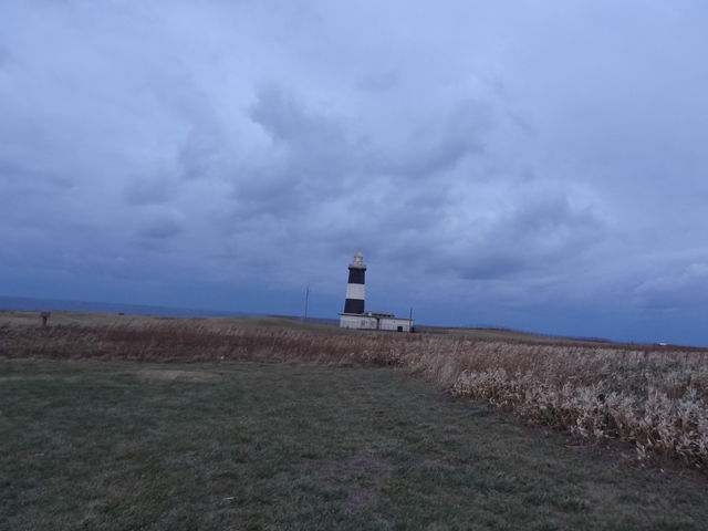 �i�F�R_�\�斦�C��