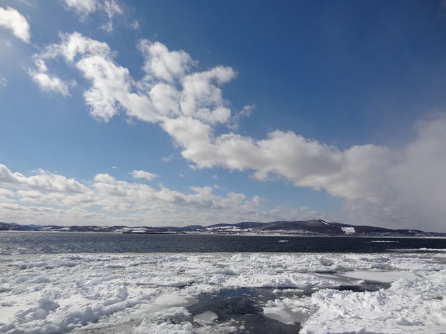 �V�C�ǂ�����_���X