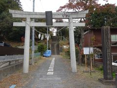 pon񂳂̓gR_Ђւ̓eʐ^1