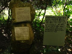 ^񂳂̎񗢋钬̑AJMւ̓eʐ^1