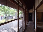 n񂳂̉Ėڟ΁@Oi]j̓eʐ^3