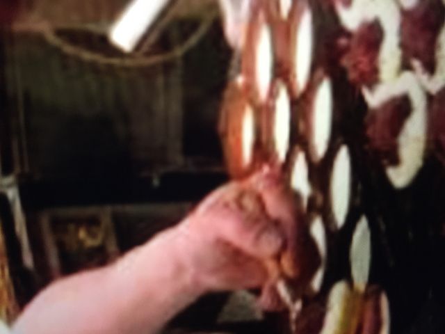 JɏĂグĂ܂_@ߓSׂ̃nJXX