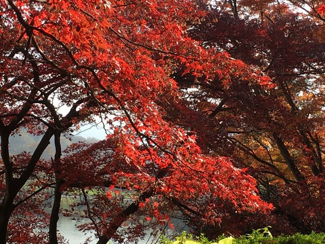 �g�t_�ԂƗ��j�̋��@�ւ̕@