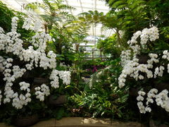 Ԃ񂿂񂳂̊ЃZAu[ւ̓eʐ^1