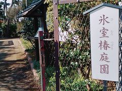 氷室椿庭園の口コミ一覧 じゃらんnet