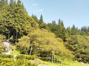 Happy����̉痴���̓��e�ʐ^1