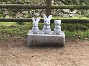 TO�`��������̏o�_��Ќ�{�a�̓��e�ʐ^3