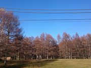 ΂Ȃ䂫䂫̎O{̓eʐ^2