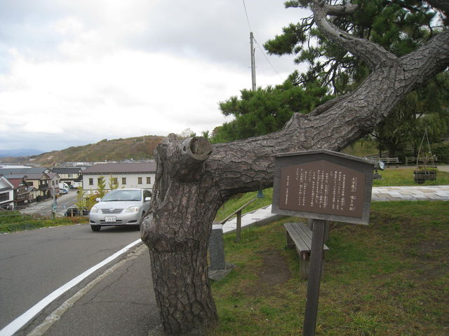 �Q���̏�_���w�R���u�S����