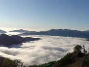 ܂̐샊][g@g} _CeX̓eʐ^1