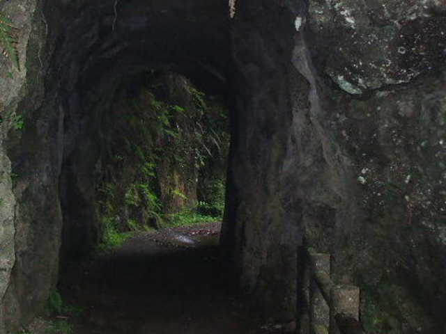 �J��Ԃ������g���l��_�O�V�{���i�V�����j