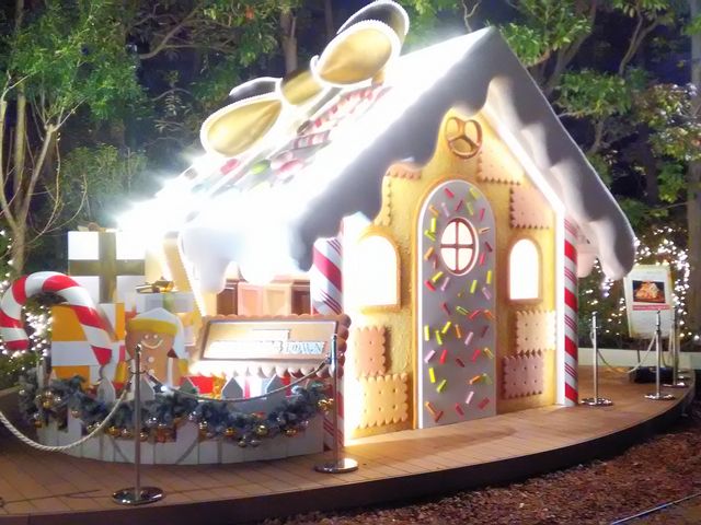 ���َq�̉�_�C�N�X�s�A��