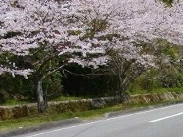 ANZ[JC̖앟̍؂̓eʐ^1